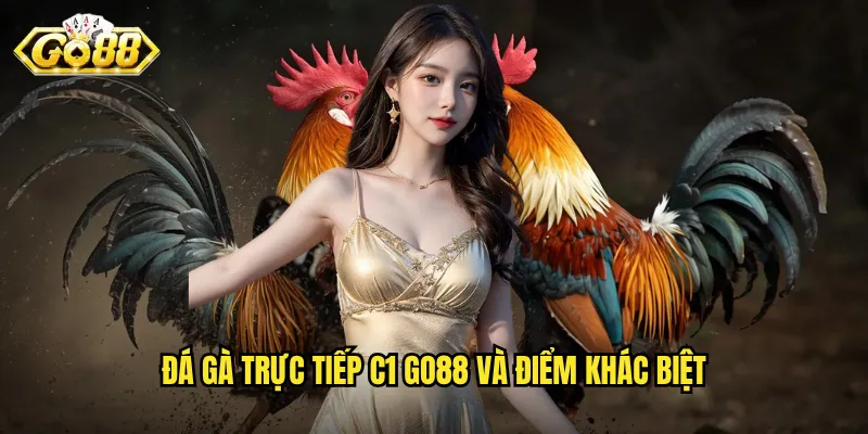 Đá Gà Trực Tiếp C1 Go88 - Sân Chơi Kịch Tính Dành Cho Tín Đồ Đá Gà 2 Đá gà trực tiếp C1 Go88 và điểm khác biệt