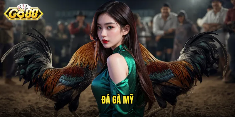 Đá Gà Mỹ Go88 - Đẳng Cấp Trận Đấu Quốc Tế Ngay Tại Việt Nam 7 đá gà Mỹ