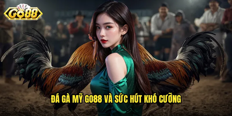 Đá Gà Mỹ Go88 - Đẳng Cấp Trận Đấu Quốc Tế Ngay Tại Việt Nam 2 Đá gà Mỹ Go88 và sức hút khó cưỡng