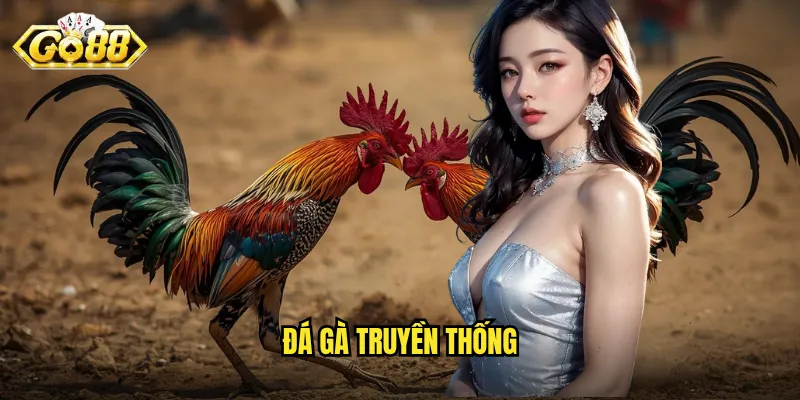 Đá Gà Truyền Thống Go88 - Gìn Giữ Nét Văn Hóa Dân Tộc Trên Nền Tảng Hiện Đại 3 đá gà truyền thống