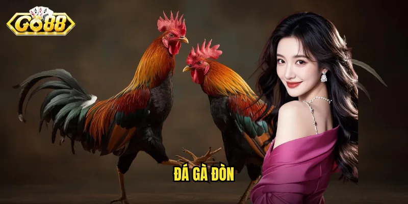 Đá gà Đòn Go88 - Nghệ Thuật Chiến Đấu Với Những Đòn Quyết Định 4 Đá gà đòn