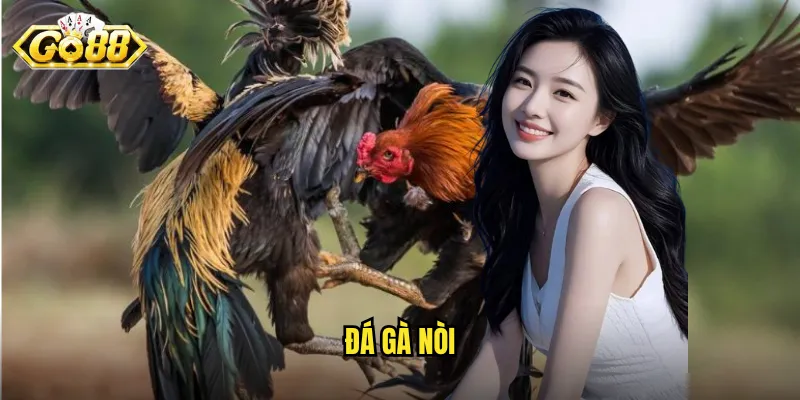 Đá Gà Nòi Go88 - Trận Đấu Của Những Dòng Gà Thuần Chủng 5 đá gà nòi