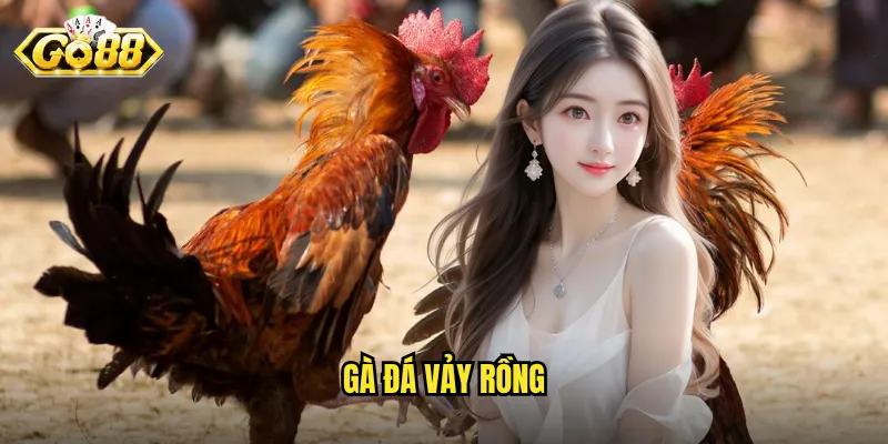 Gà đá vảy rồng