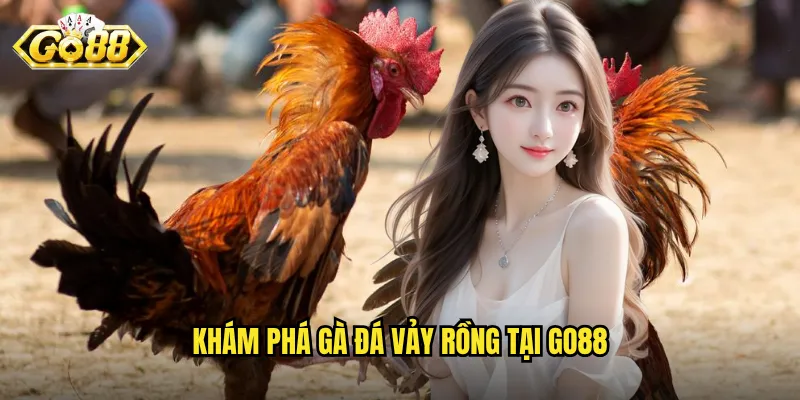 Khám phá gà đá vảy rồng tại Go88