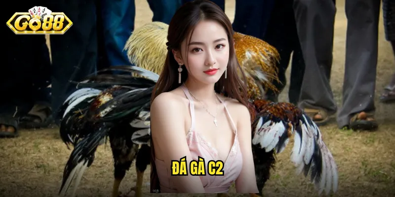 đá gà c2