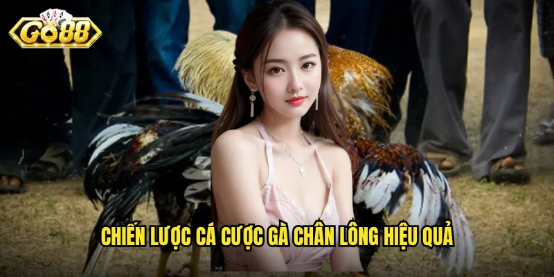 Gà Chân Lông Go88 - Dòng Gà Đặc Biệt Với Sức Mạnh Ấn Tượng 3 Chiến lược cá cược gà chân lông hiệu quả